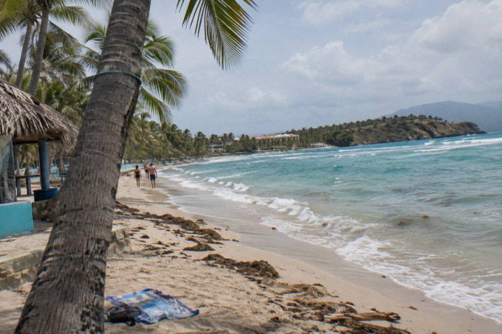 A wide Caribbean beach with tall palms leaning over pale sand and turquoise water