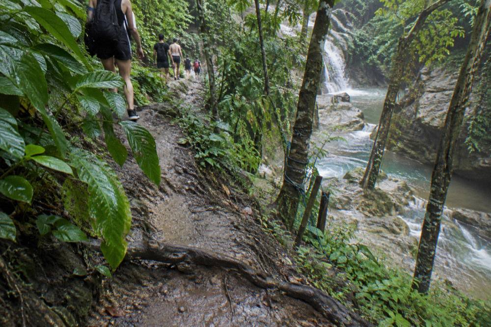 Forest trail climbing uphill through dense tropical vegetation