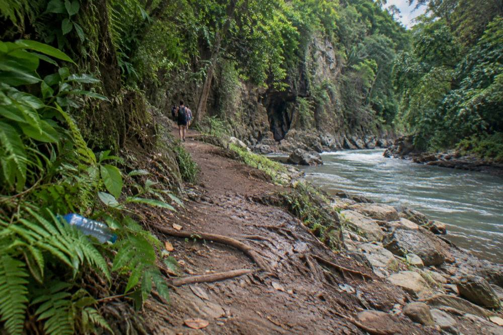 Forest trail beside the river leading toward the canyon entrance