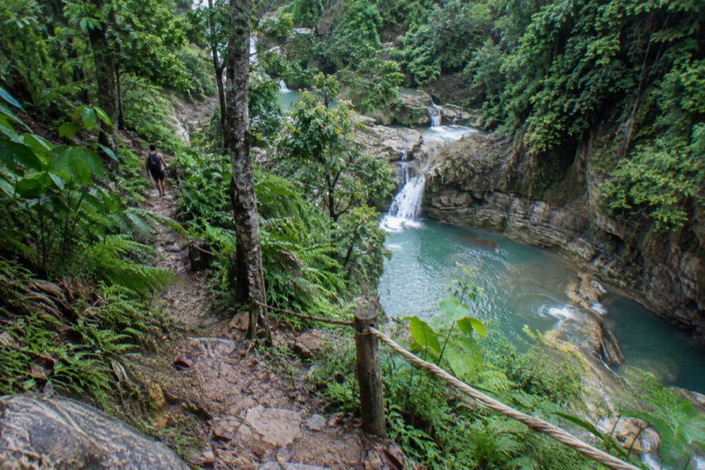 Forest trail with a dirt path climbing through green tropical vegetation