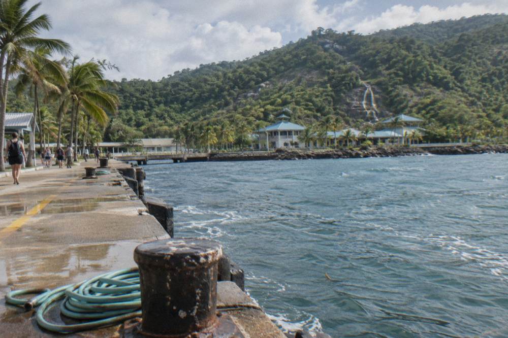 Cruise ship tender pier with palm trees and calm harbour water in morning light