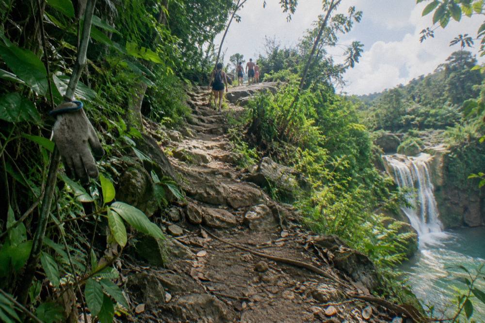 Forest trail climbing through dense green vegetation toward the canyon rim