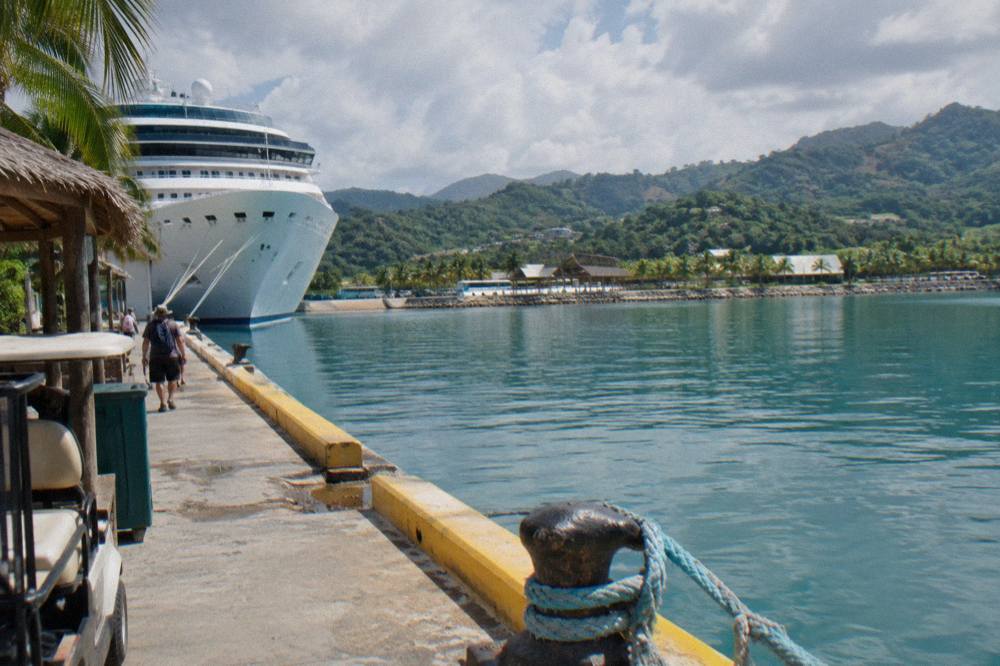Cruise ship docked at a tropical port terminal with palm trees and calm water