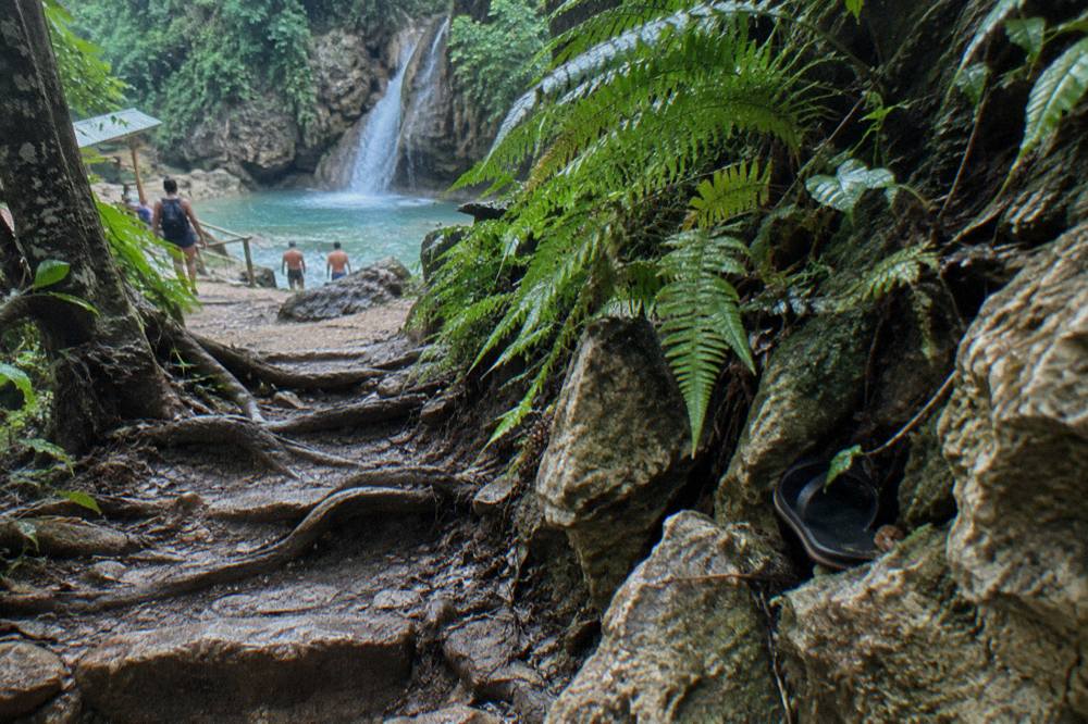 Forest trail climbing uphill through dense tropical vegetation toward the canyon