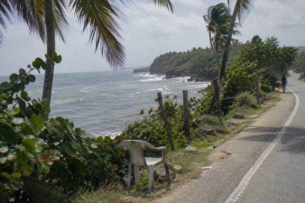 Coastal road curving past palm trees with the Atlantic ocean on the horizon