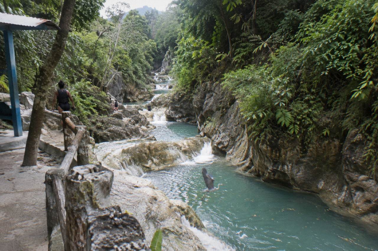 Canyon pools of the Damajagua river winding through forested limestone walls