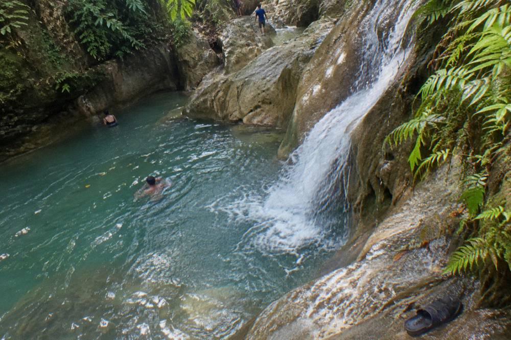 Small stone pool at the base of a waterfall surrounded by green foliage