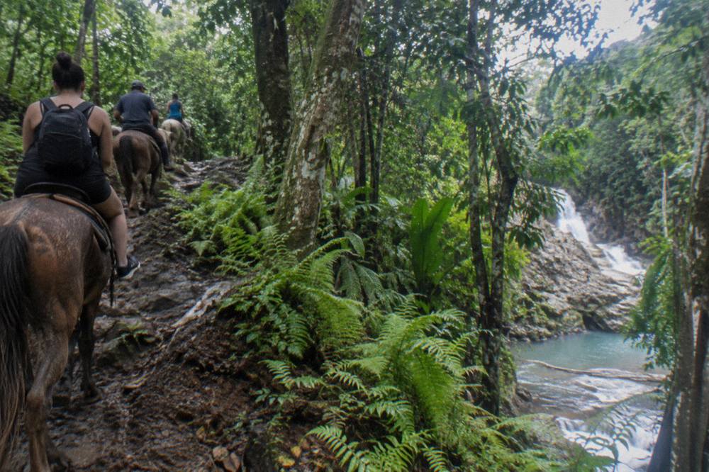 Horseback riders on a muddy jungle trail heading toward a waterfall