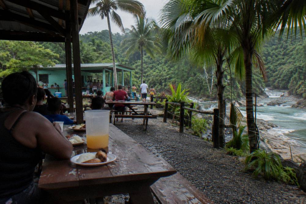 Families eating lunch at open-air tables near a forest visitor centre