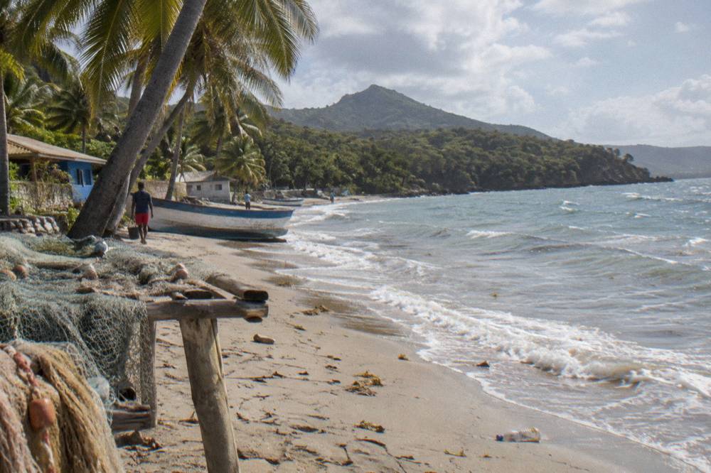 Palm-lined public beach with gentle waves along the Puerto Plata coast