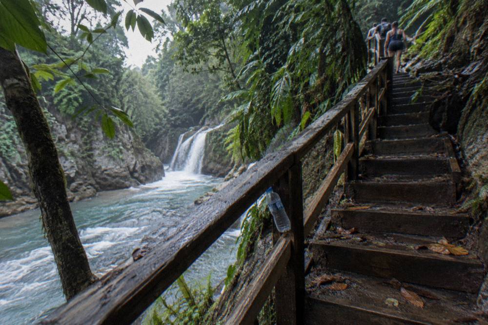 Wooden steps and handrail climbing through dense tropical vegetation beside a river