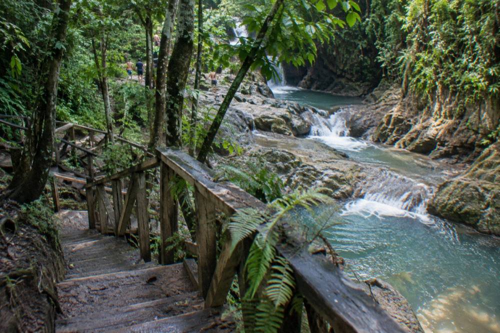 Wooden staircase trail climbing through dense green forest on the way to the waterfalls