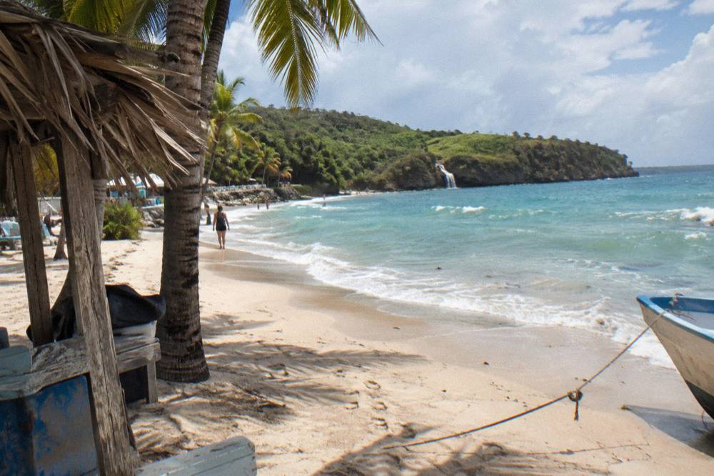 Palm-lined beach with calm turquoise water on the Puerto Plata coast